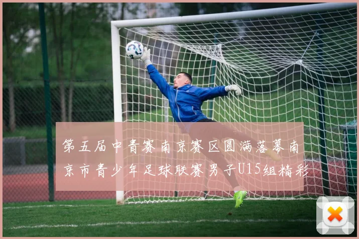 第五届中青赛南京赛区圆满落幕南京市青少年足球联赛男子U15组精彩回顾