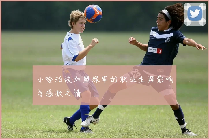 小哈珀谈加盟绿军的职业生涯影响与感激之情